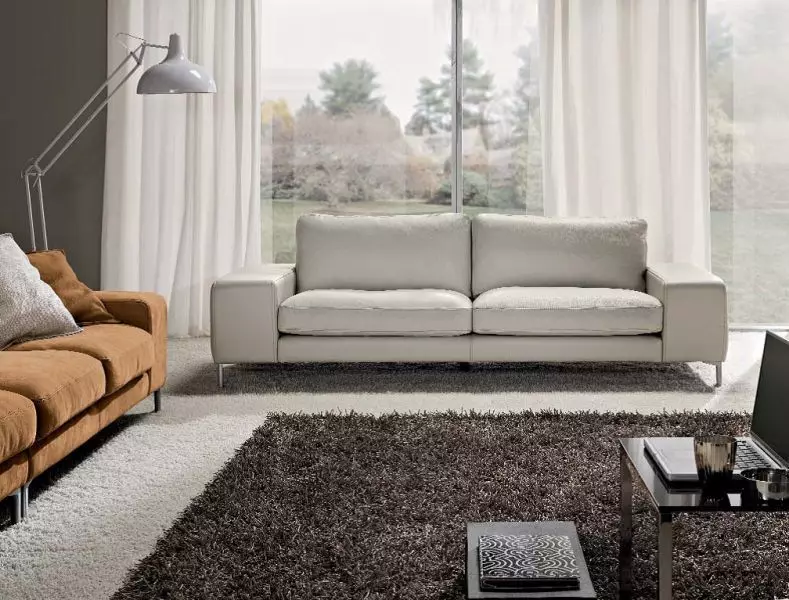 Modernong sofa (47 mga larawan): sulok at direktang mga modelo sa modernong estilo, natitiklop na sofas bed at iba pa 9250_15