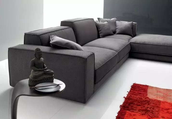 Modernong sofa (47 mga larawan): sulok at direktang mga modelo sa modernong estilo, natitiklop na sofas bed at iba pa 9250_16