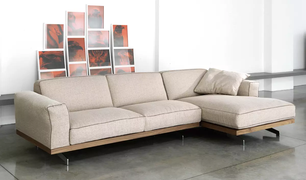 Nowoczesna sofa (47 zdjęć): narożne i bezpośrednie modele w nowoczesnym stylu, składane sofy łóżka i inne 9250_17