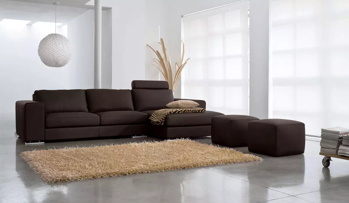 Mūsdienu dīvāns (47 fotogrāfijas): stūris un tiešie modeļi mūsdienu stilā, izvelkot dīvāni gultas un citi 9250_19