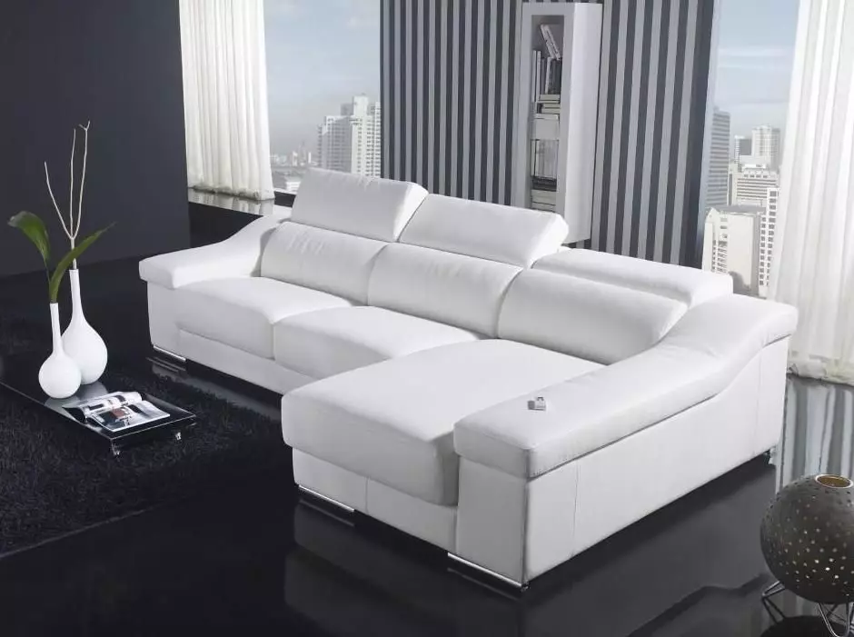 Modernong sofa (47 mga larawan): sulok at direktang mga modelo sa modernong estilo, natitiklop na sofas bed at iba pa 9250_21