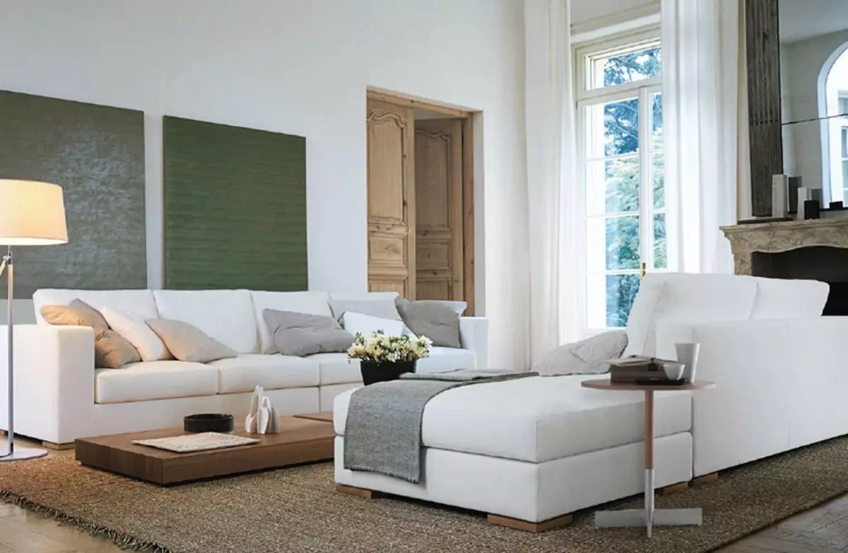 現代沙發（47張照片）：現代風格的角落和直撥型號，折疊沙發床等 9250_4
