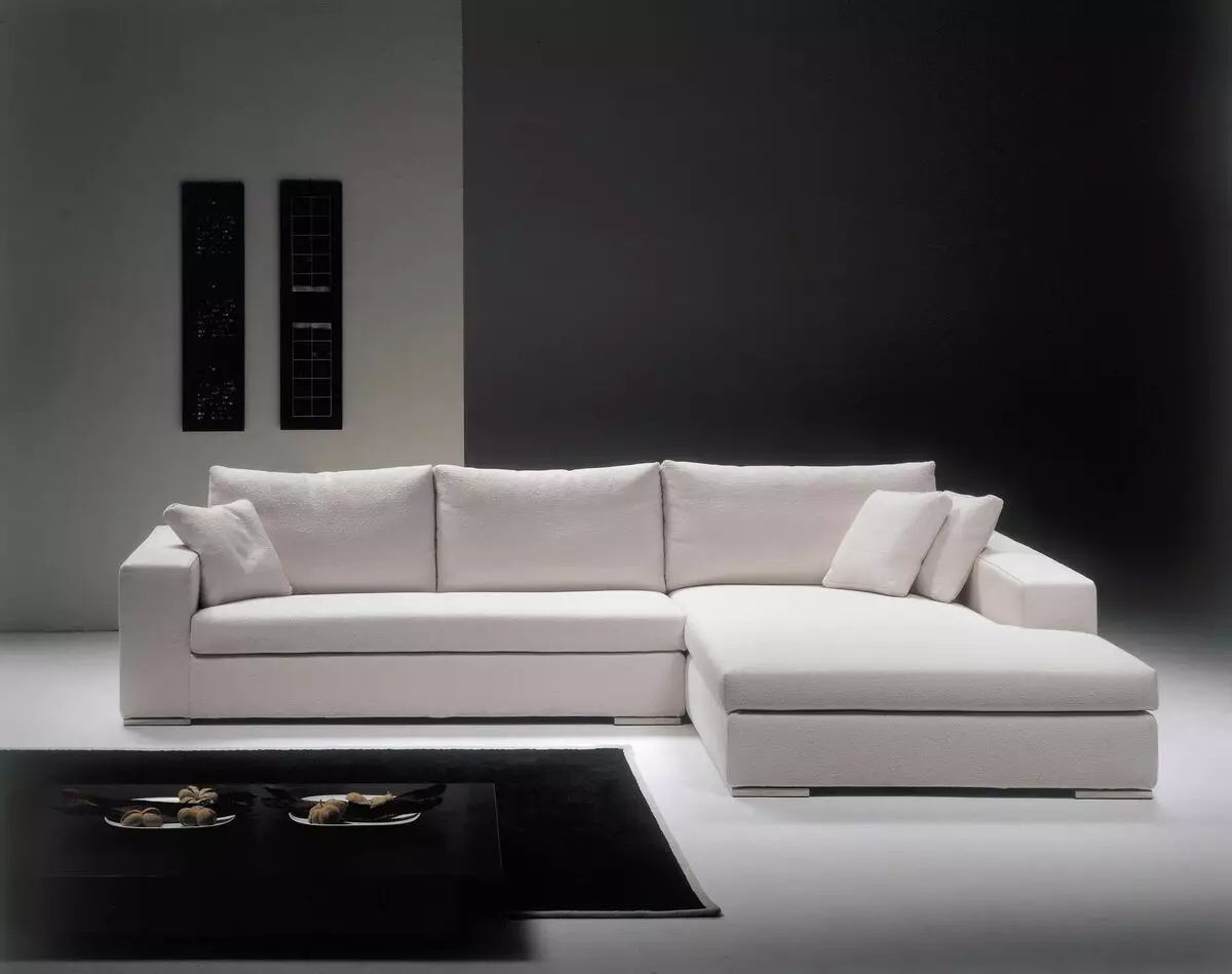 現代沙發（47張照片）：現代風格的角落和直撥型號，折疊沙發床等 9250_5