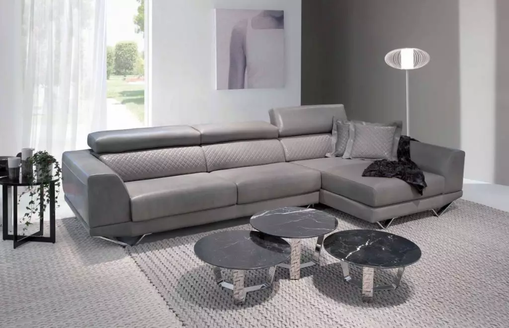 Modernong sofa (47 mga larawan): sulok at direktang mga modelo sa modernong estilo, natitiklop na sofas bed at iba pa 9250_6