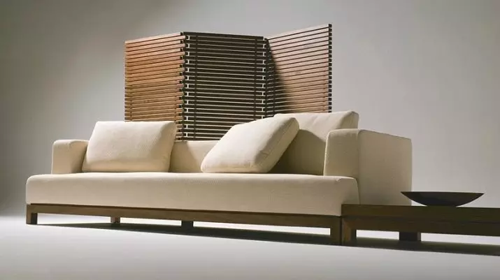 Oriental dīvāni (28 fotogrāfijas): leņķa un zemie modeļi, īpašības, šķirnes un krāsu risinājumi, izvēles padomi 9251_28