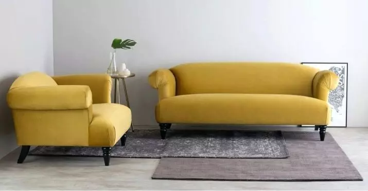 Sofas Sofas (22 Hoto): Green, shuɗi da samfuran wasu launuka, kusurwa, nadawa da sauran sofas tare da tururuwa na ciki 9252_12