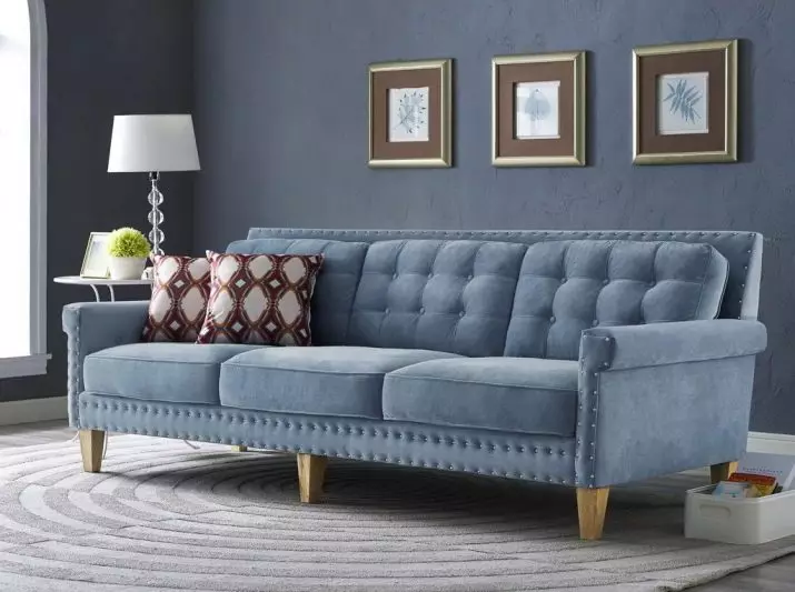 Velvet sofaer (22 billeder): Grøn, blå og modeller af andre farver fra fløjl, hjørne, foldning og andre sofaer med Velvet's polstring i interiøret 9252_3