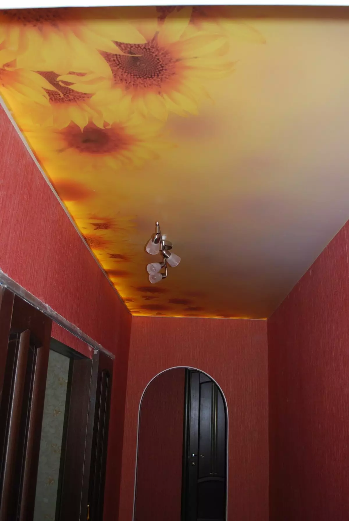 走廊裡的伸展天花板（71張照片）：狹窄和長長的走廊的天花板設計，帶點燈和陽光的選擇，公寓，黑色和光澤物種。 9270_11