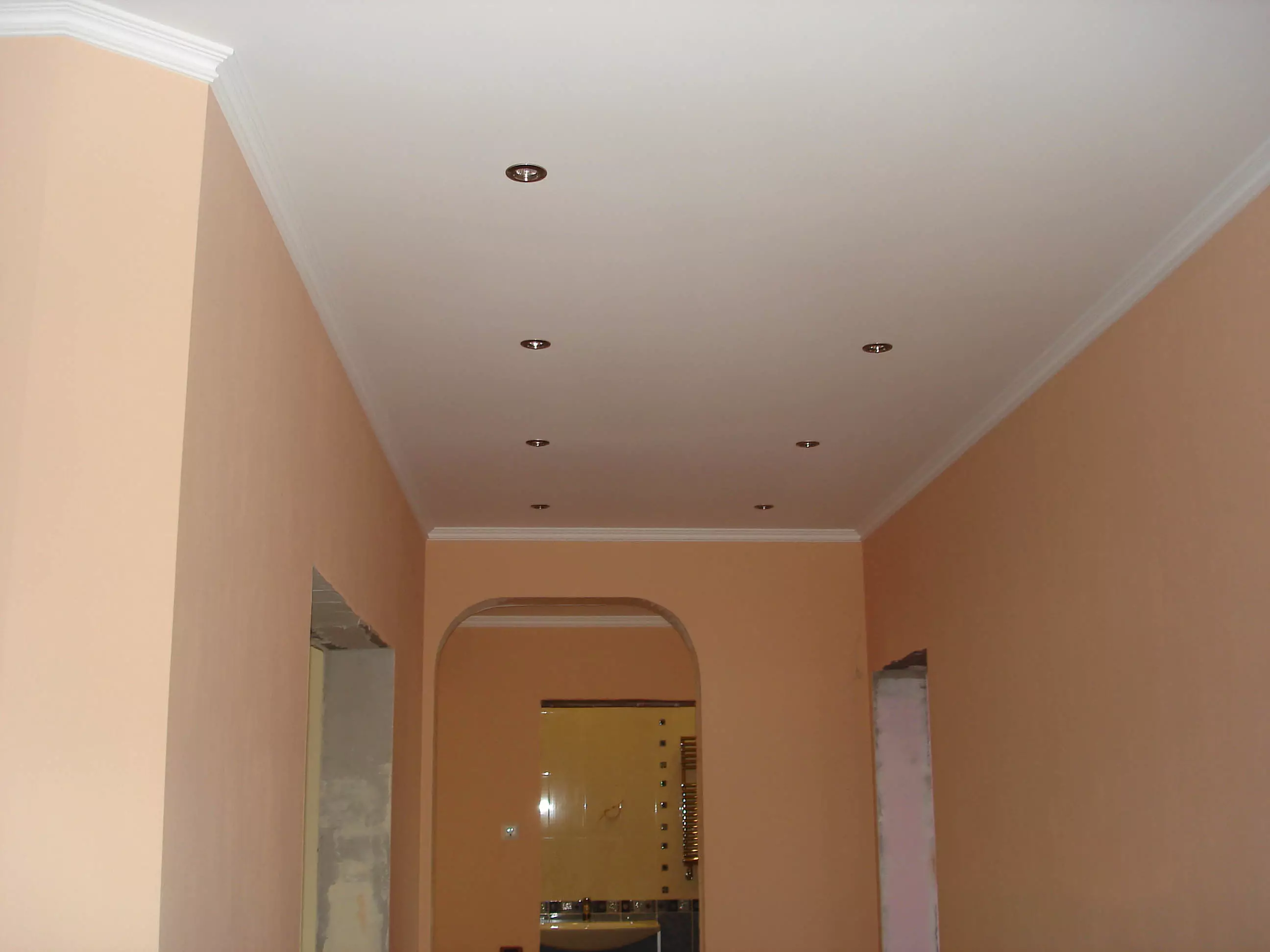 תקרה מתיחה במסדרון (71 תמונות): עיצוב תקרה במסדרון צרים וארוך, אופציות עם אורות נקודה ועיצובים של שתי ברמות בדירה, מינים שחורים ומבריקים 9270_14