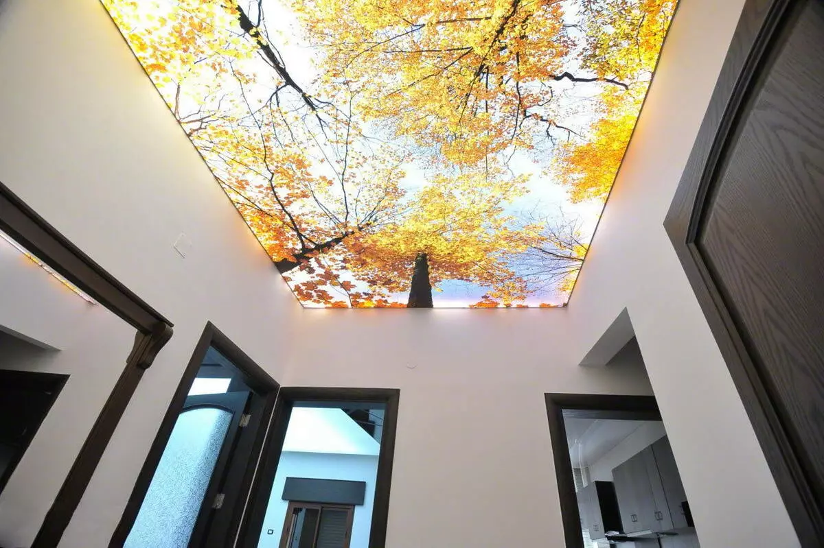 Tavani i shtrirjes në korridor (71 foto): Dizajni i tavanit në një korridor të ngushtë dhe të gjatë, opsionet me dritat e pikës dhe dizajnet me dy nivele në apartament, speciet e zeza dhe me shkëlqim 9270_24