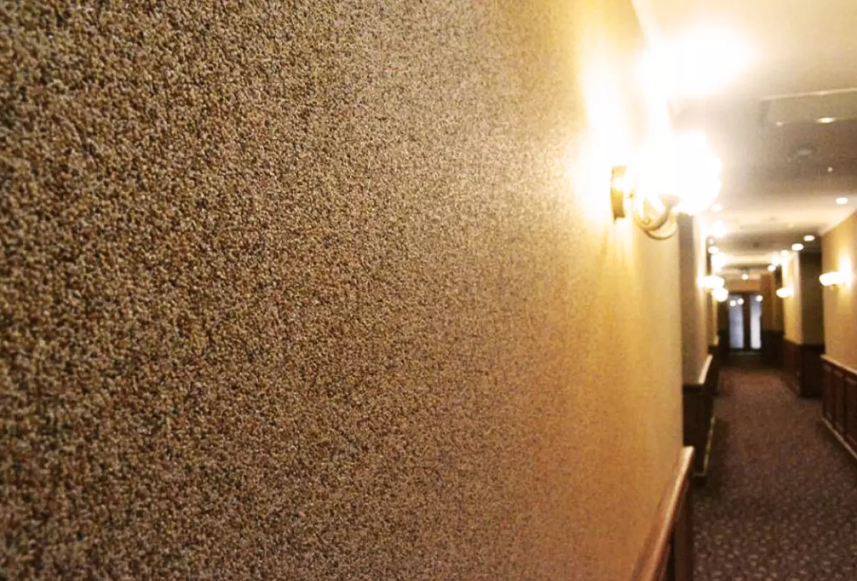 Wallpapers të lëngshme në korridor (51 foto): Çfarë sfond është më mirë të zgjidhni për muret në korridor? Vizatime nga letër-muri i lëngët në brendësi 9286_19