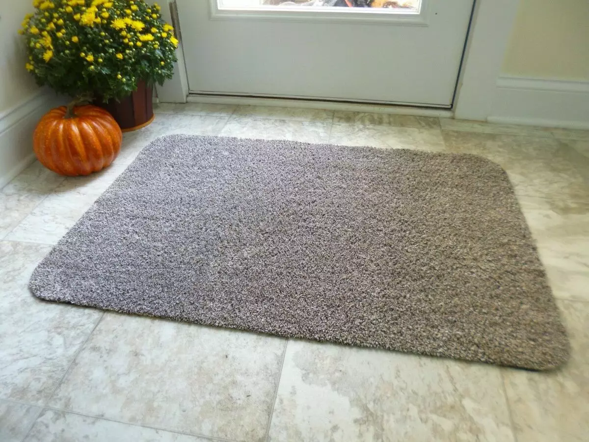 Karpet ing lorong (57 foto): karpet lan tiks kanggo sepatu ing koridor, model ing lantai saka karpet lan bahan liyane 9287_51