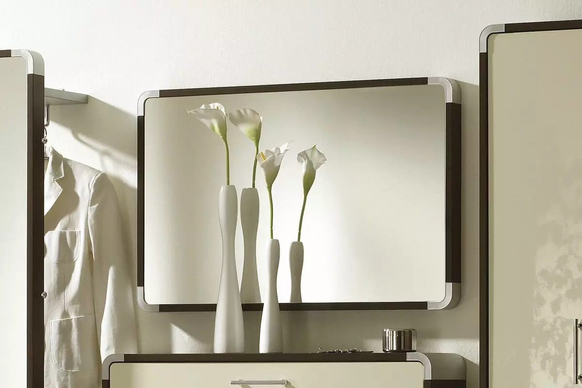 Um espelho com uma prateleira no corredor: espelhos de parede e chão. Como escolher um montado ou qualquer outro espelho com uma prateleira? 9300_37