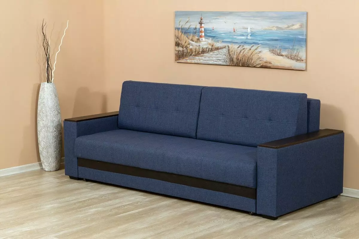 Ghế sofa bếp thẳng (62 ảnh): Ghế sofa nhỏ cho nhà bếp không có phòng ngủ, tùy chọn thiết kế nội thất 9376_24