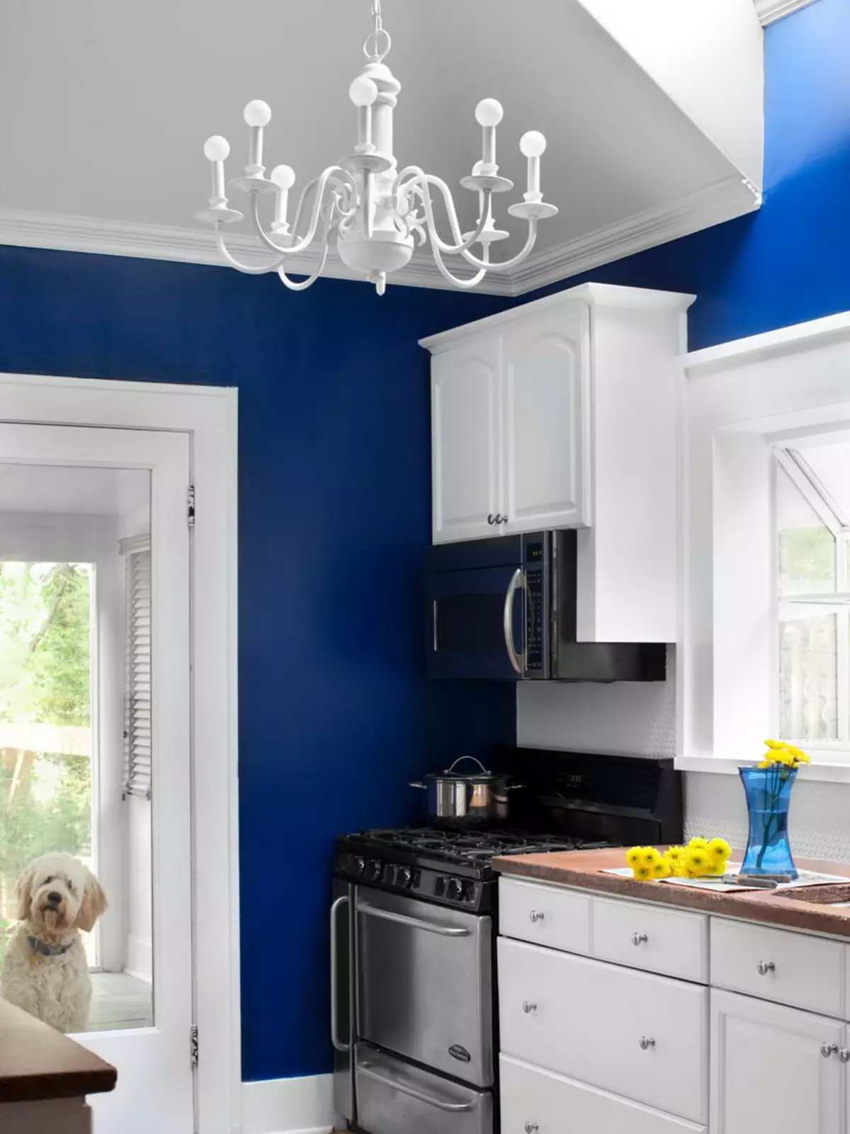 Bijelo-plava kuhinja (64 fotografije): Značajke kuhinjske slušalice u bijelo-plava boja za dizajn interijera kuhinje, naglasci na zidovima u sličnim bojama 9393_28