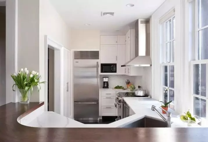 باورچی خانے کے ڈیزائن 6 مربع میٹر. میں خروشچ (88 تصاویر): 6 مربع میٹر، باورچی خانے کے سائز اور انتظام کی منصوبہ بندی کے ایک چھوٹے سے کمرے میں داخلہ ڈیزائن خیالات، مرمت کے اختیارات 9441_37