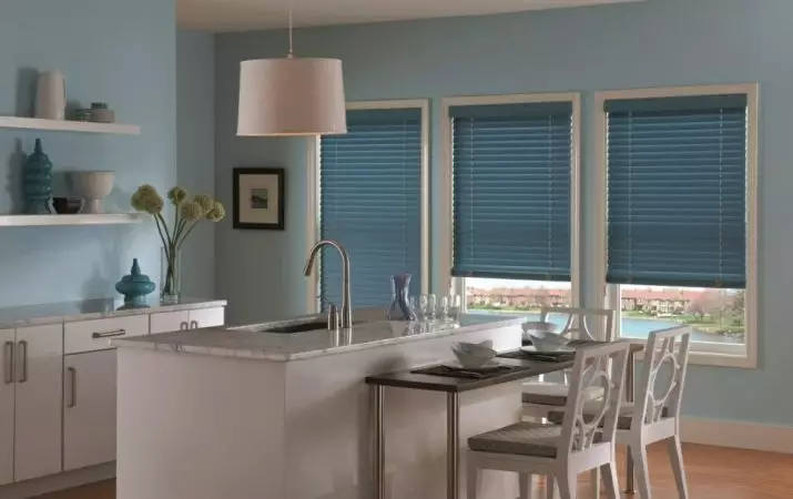 blinds នៅក្នុងផ្ទះបាយ (65 រូបថត): អ្វីដែលពិការភ្នែកគឺល្អប្រសើរជាងមុនក្នុងការជ្រើសរើសជំនួសឱ្យវាំងនន? ពិការភ្នែកបញ្ឈរសម័យទំនើបនៅខាងក្នុង, រំកិលផ្ទះបាយផ្ទះបាយសម្រាប់បង្អួច 9472_2