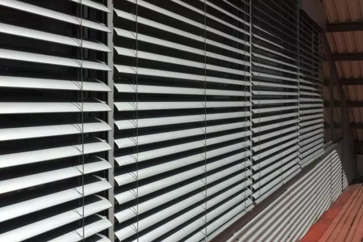 blinds នៅក្នុងផ្ទះបាយ (65 រូបថត): អ្វីដែលពិការភ្នែកគឺល្អប្រសើរជាងមុនក្នុងការជ្រើសរើសជំនួសឱ្យវាំងនន? ពិការភ្នែកបញ្ឈរសម័យទំនើបនៅខាងក្នុង, រំកិលផ្ទះបាយផ្ទះបាយសម្រាប់បង្អួច 9472_44