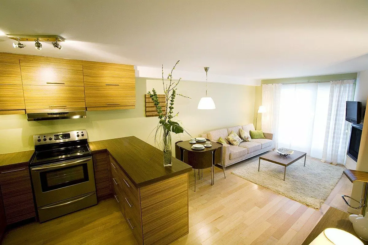 Зонування кухні (55 фото): як розділити маленьке кухонний простір на дві зони? Варіанти дизайну зони відпочинку та інших 9486_2