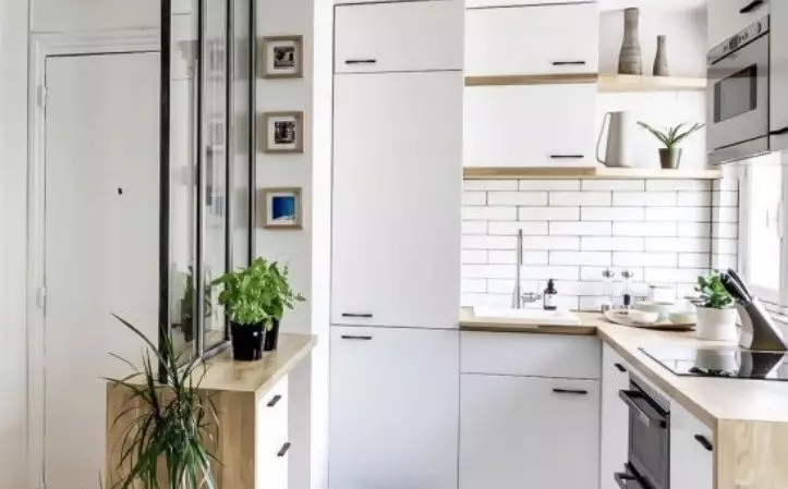 Bucătărie-hol de intrare (62 fotografii): un aspect de bucătărie combinat cu un coridor într-o casă privată și în apartament. Designul interior de bucătărie în un singur stil 9487_2