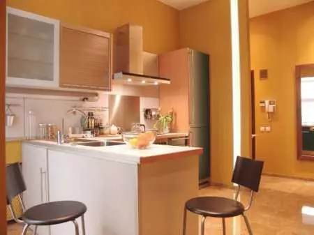 Кујна-влезната сала (62 фотографии): распоред на кујната во комбинација со коридор во приватна куќа и во станот. Внатрешен дизајн кујна-сали во еден стил 9487_27