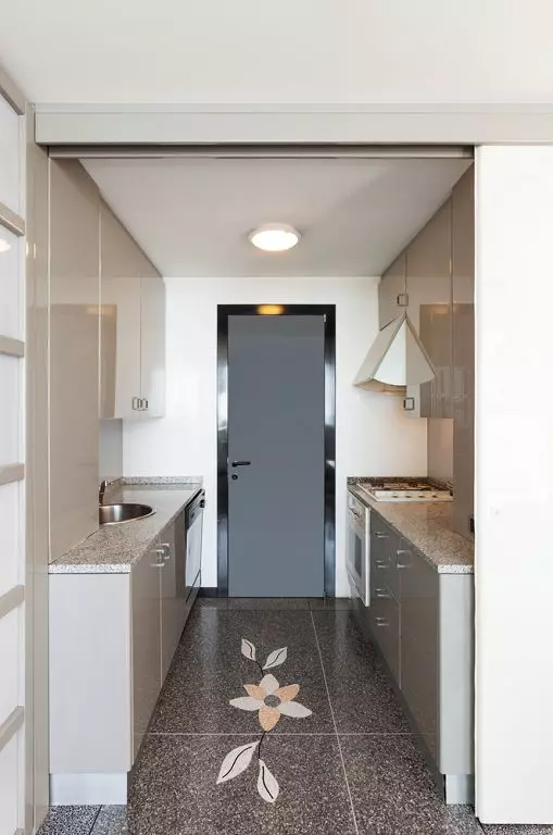 Кујна-влезната сала (62 фотографии): распоред на кујната во комбинација со коридор во приватна куќа и во станот. Внатрешен дизајн кујна-сали во еден стил 9487_43