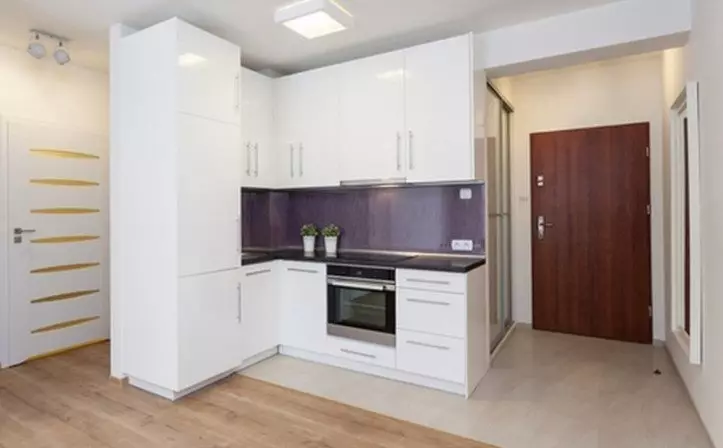 Bucătărie-hol de intrare (62 fotografii): un aspect de bucătărie combinat cu un coridor într-o casă privată și în apartament. Designul interior de bucătărie în un singur stil 9487_5