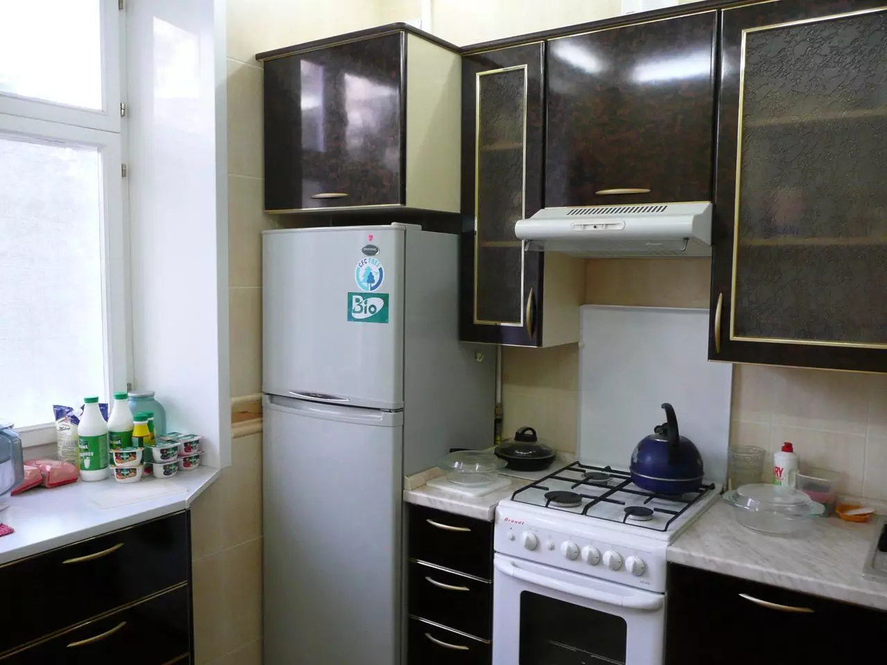 Дизайн маленької кухні з холодильником (76 фото): куди поставити холодильник? Кутові і вбудовані кухонні гарнітури з холодильником в інтер'єрі. Як розмістити його в кімнаті з вікном? 9504_41