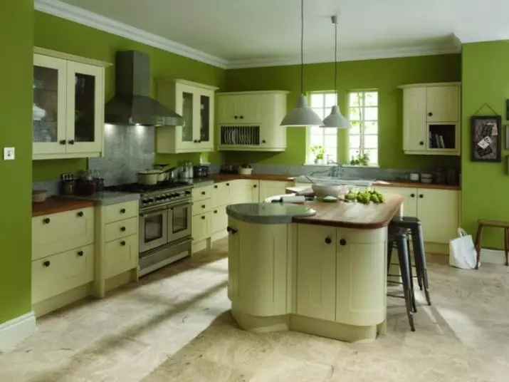 Green Cuisine (111 Fotos): Grüne Küche Headset in Innenarchitektur, grüne Tapetenauswahl, grau-grüne und dunkelgrüne, schwarze und grüne und grüne braune Küche 9554_111