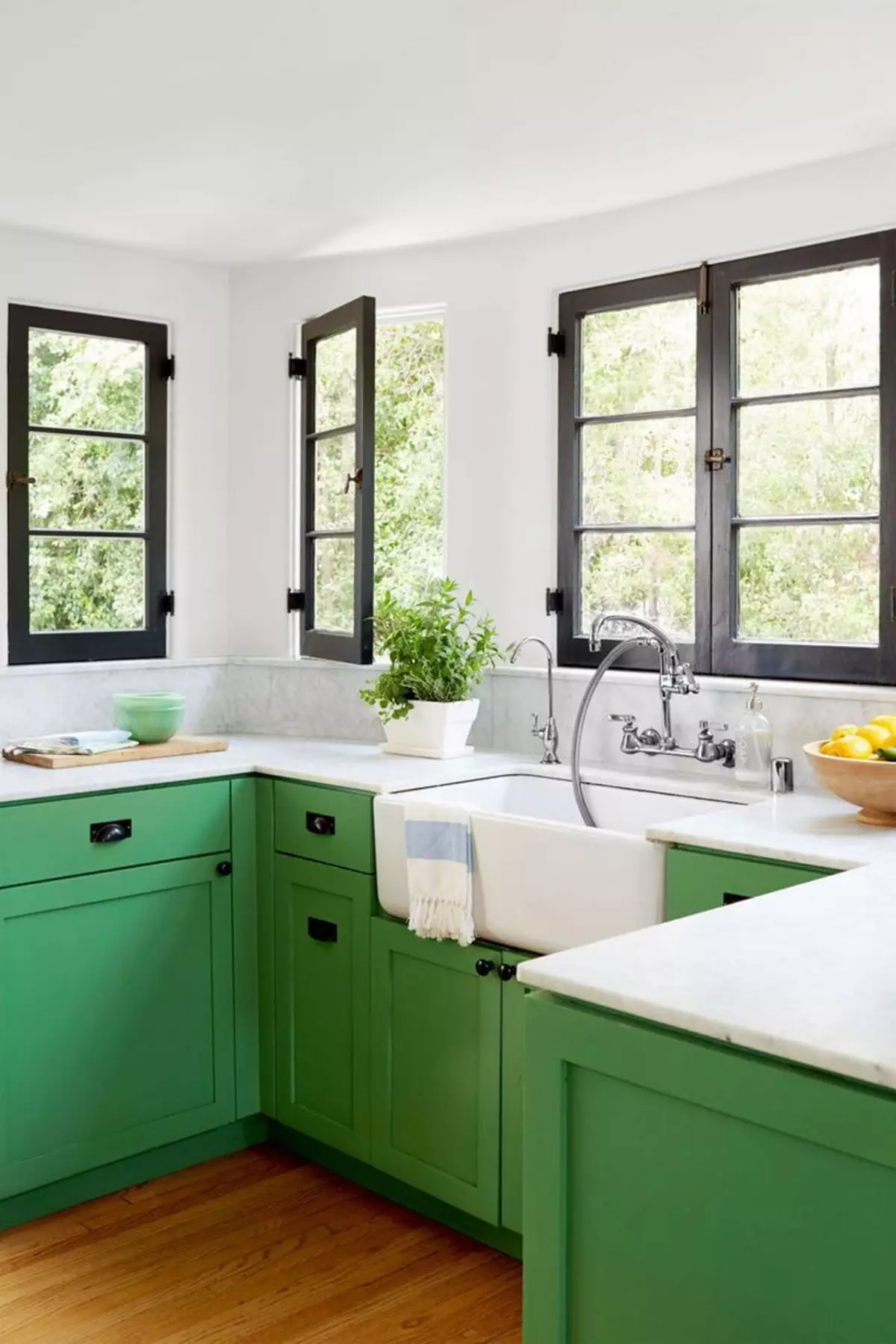 Zöld konyha (111 fotó): zöld konyhai fülhallgató a belsőépítészetben, zöld háttérkép kiválasztása, szürke-zöld és sötétzöld, fekete és zöld és zöld barna konyha 9554_86