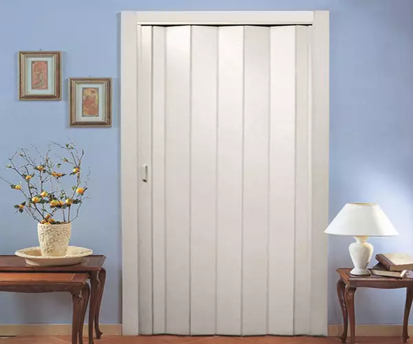 Stumdomos durys gyvenamojoje patalpoje (35 nuotraukos): pasirinkite vidinę durys kupė salėje ir dideli pločio vieno durų durų po interjere 9624_27