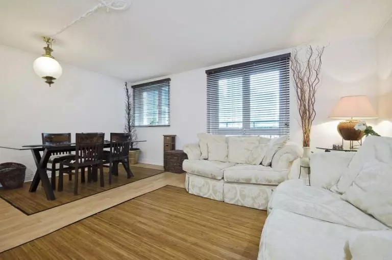 Laminado na sala de estar (31 fotos): ¿Que é mellor elixir para o salón: tella ou laminado? Decoración de piso Salón no apartamento é gris, laminado lixeiro e escuro 9634_12