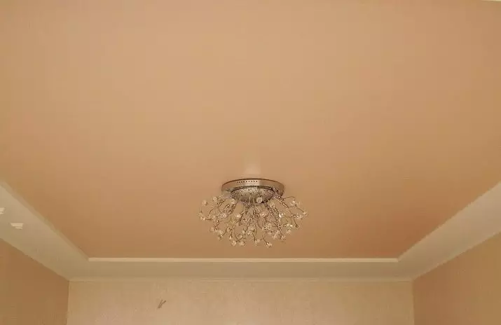 館内のマットストレッチ天井（40枚）：アパートのリビングルームのストレッチ天井を選ぶ方法は？描画やその他のオプション付きの白い天井 9636_27