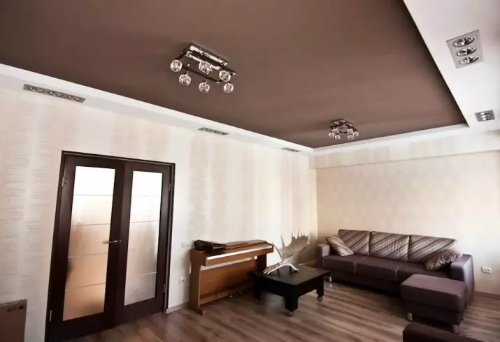 Ceilings Mattte Streting Kanggo Hall (40 foto): Cara milih langit-langit sing reget kanggo ruang tamu ing apartemen? Langit-langit putih kanthi nggambar lan pilihan liyane 9636_31