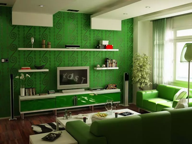 グリーンリビングルーム（65枚の写真）：緑色のトーンの内装の設計機能。緑色の色は何色を組み合わせたか？ホールの壁の登録 9639_52