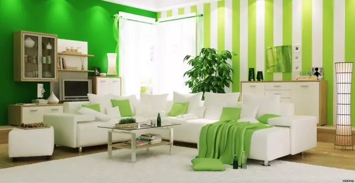 绿色起居室（65张照片）：绿色色调的室内设计功能。什么颜色结合绿色？大厅墙的登记 9639_60