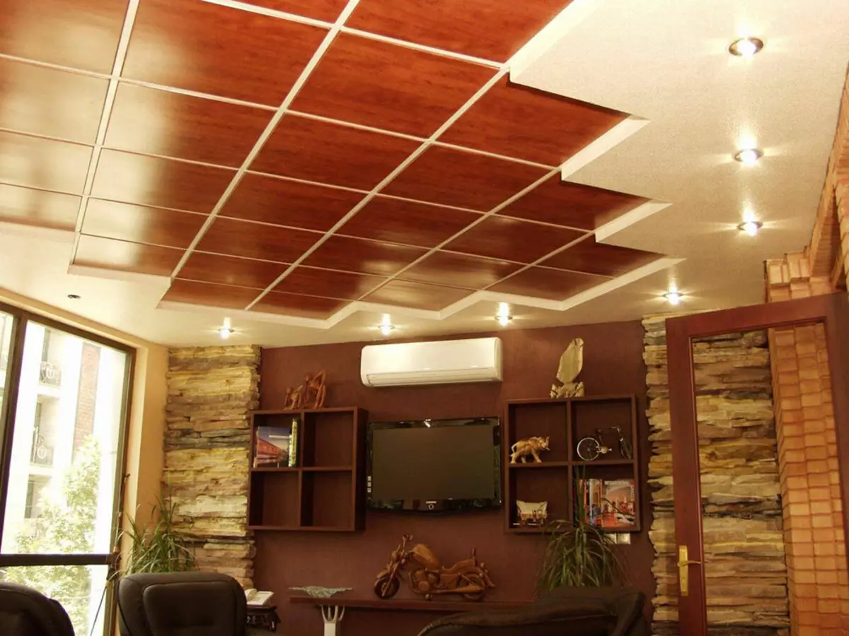 سقف در سالن (89 عکس): گزینه هایی برای طراحی سقف دوبلکس و تک سطوح برای اتاق نشیمن، ایده های زیبا برای طراحی با چاپ عکس، ارقام 9643_17