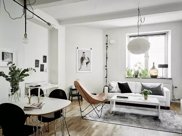 Sala de estar en estilo escandinavo (58 fotos): deseño de interiores do pequeno salón e grandes salas no apartamento e casa de campo, estreitas salas de estar brancas e outras opcións 9658_55
