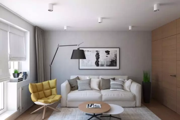 在公寓的设计霍尔（168张照片）：客厅内部内部的细微差别。如何在普通公寓中制作一个大厅美丽又轻松？ 9682_22