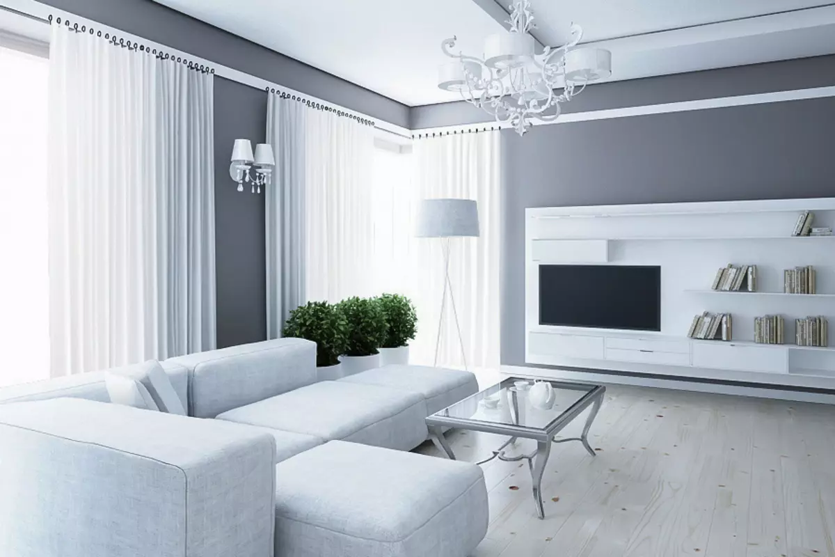 灰色色调的客厅（94张照片）：在内部结合灰色的颜色是什么？大厅，灰色米色客厅和其他选择设计灰蓝色，灰白墙设计 9689_10