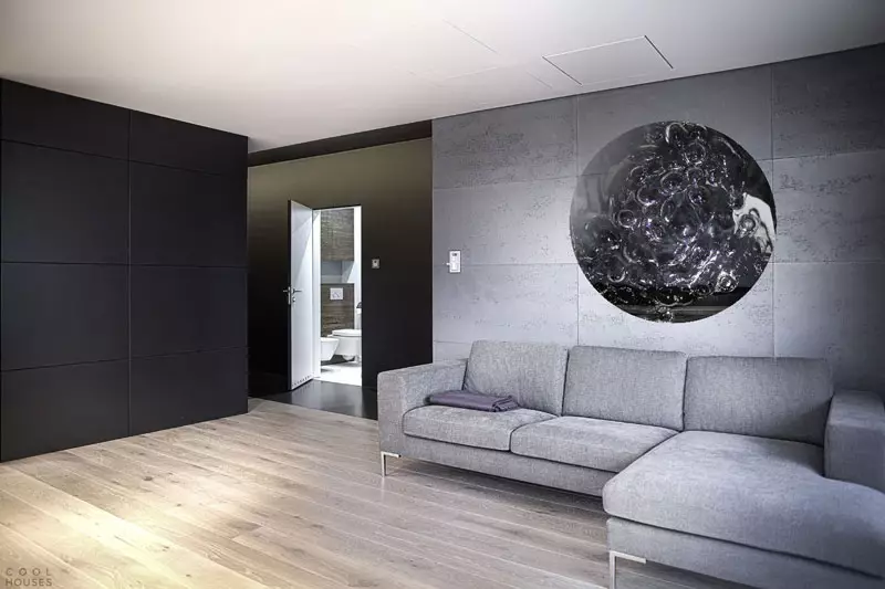 灰色色调的客厅（94张照片）：在内部结合灰色的颜色是什么？大厅，灰色米色客厅和其他选择设计灰蓝色，灰白墙设计 9689_49