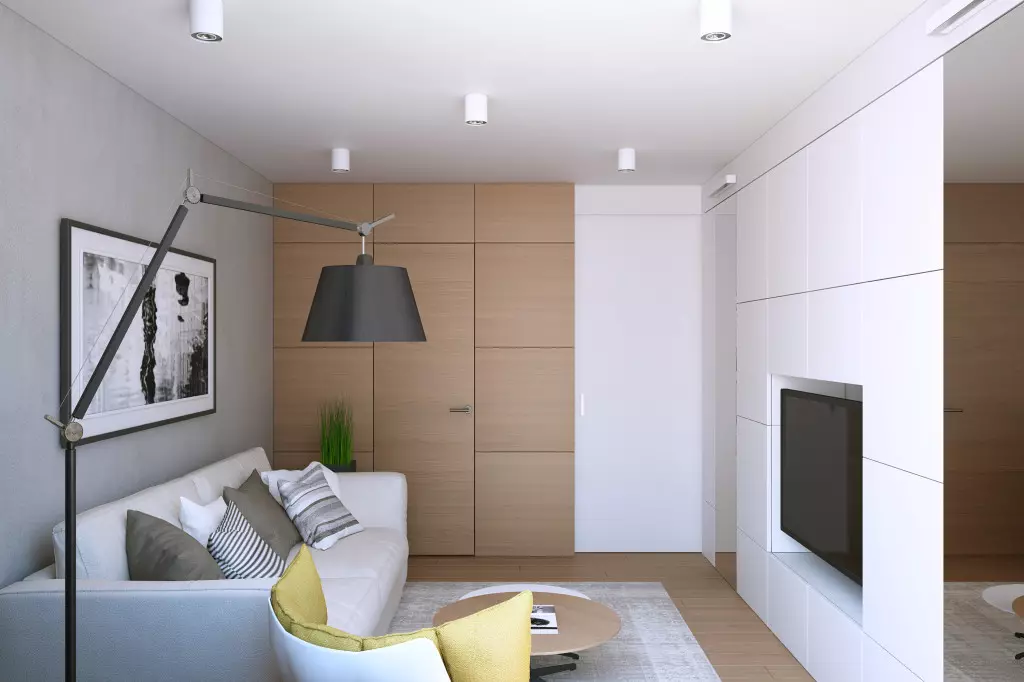 작은 거실의 인테리어 (119 개 사진) 아파트의 작은 홀 현대 아이디어. 어떻게 미니 룸을 갖추기 위해? 9695_61