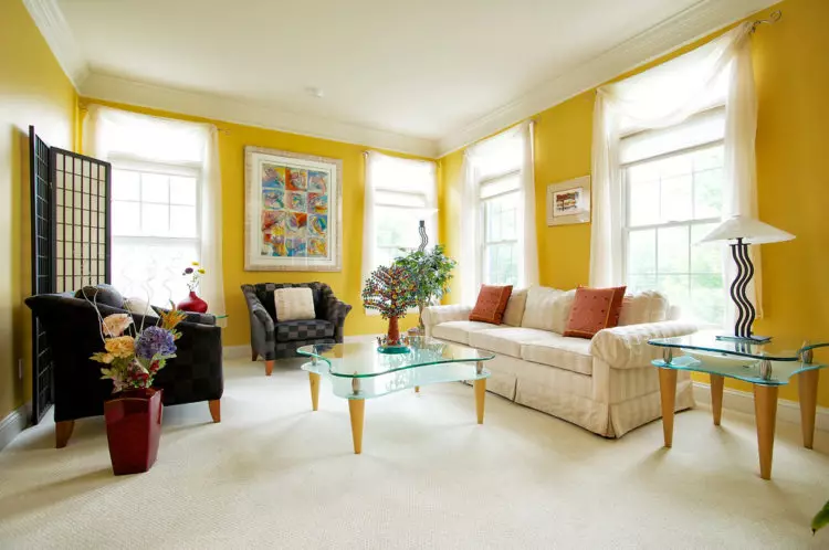 Stue i lette farver (80 billeder): Interiørdesign i klassiske og moderne lysstile, brugen af ​​lyse accenter i det lyse rum 9696_47