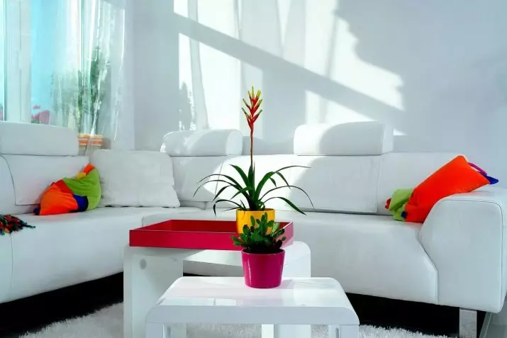 Stue i lette farver (80 billeder): Interiørdesign i klassiske og moderne lysstile, brugen af ​​lyse accenter i det lyse rum 9696_69