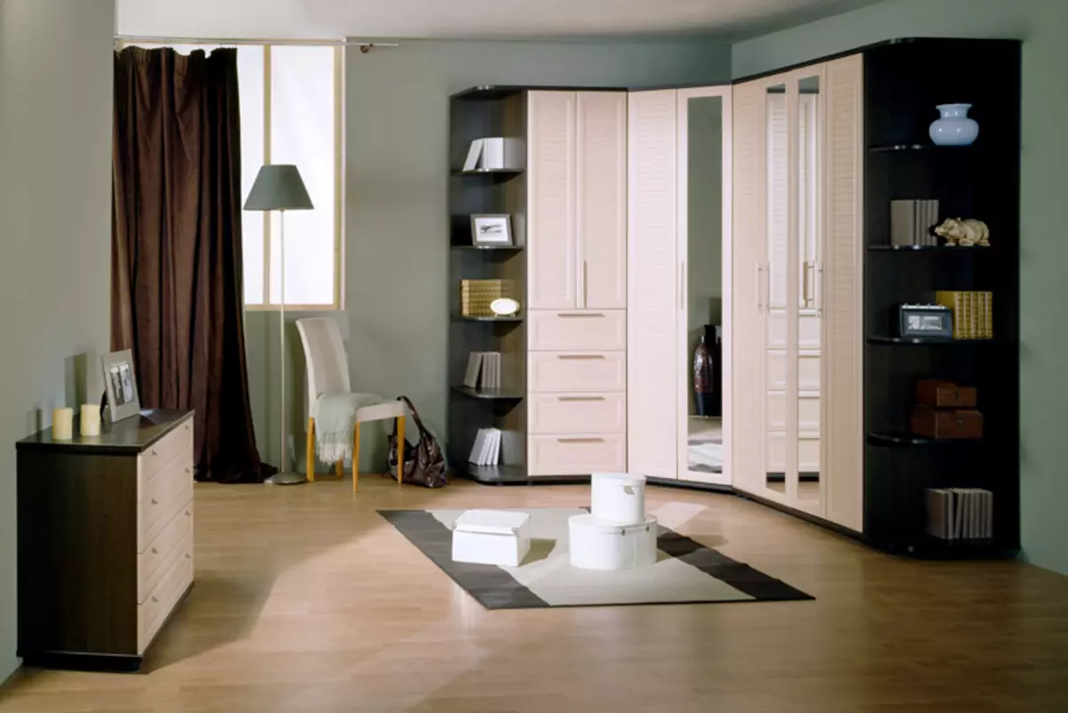Modulární úhlový nábytek pro obývací pokoj: moduly se šatní skříní a set v moderním a jiném stylu, výběru iluit 9708_14