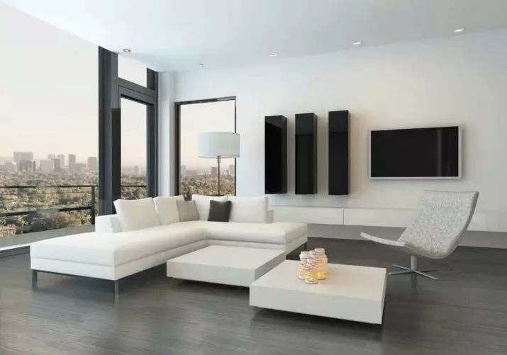 Huonekalut olohuoneeseen moderniin tyyliin (81 valokuvaa): Muodikas huonekalut minimalismille ja muille tyylikkäille malleille 9719_24