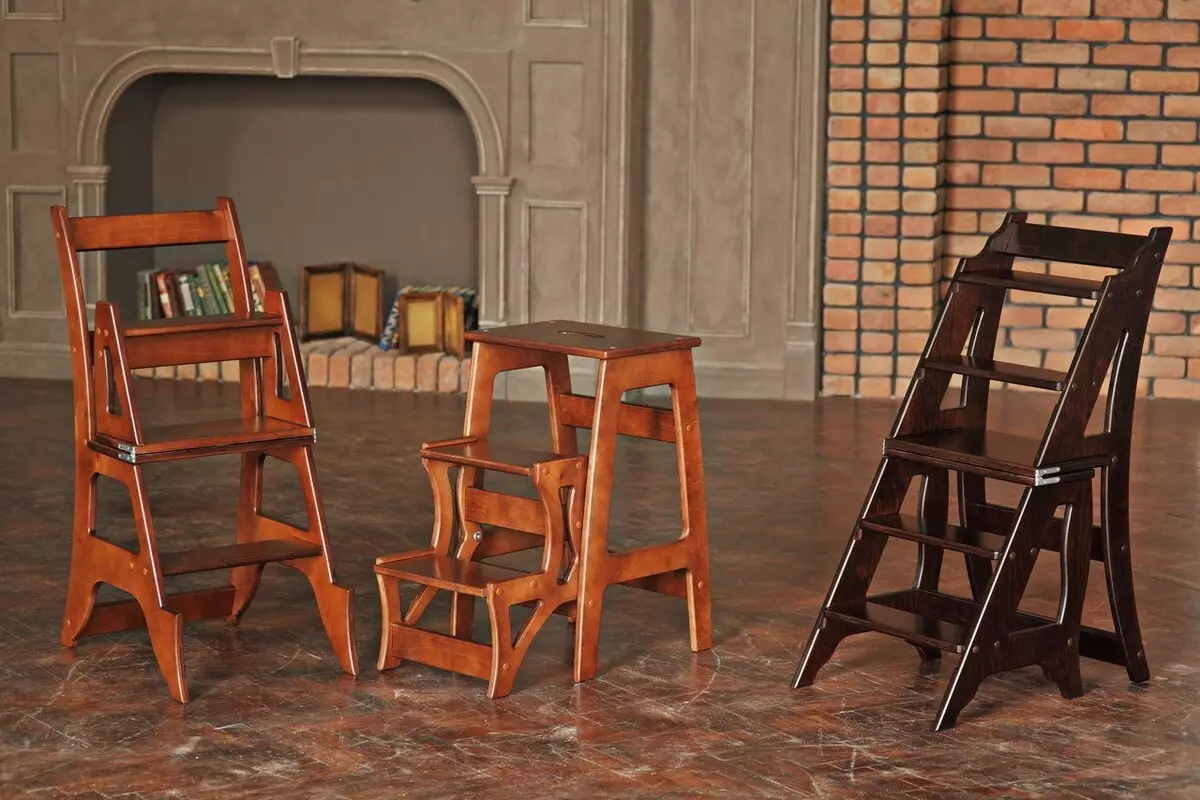 Cadeiras para a sala de estar (66 fotos): fermosos modelos modernos para o salón con brazos e sen, cadeiras de deseño italiano ao estilo do clásico e outros 9746_16