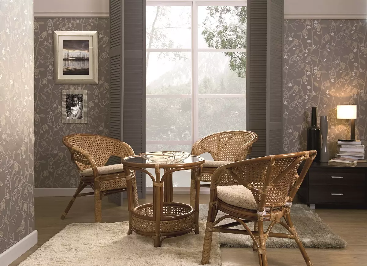 Cadeiras para a sala de estar (66 fotos): fermosos modelos modernos para o salón con brazos e sen, cadeiras de deseño italiano ao estilo do clásico e outros 9746_29