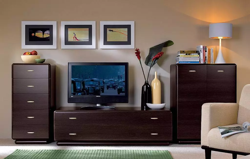 تسريحة طويلة لغرفة المعيشة (38 صور): اختر السترات العصرية كبيرة طويلة الأجل للتلفزيون ونماذج أخرى في غرفة المعيشة 9747_9