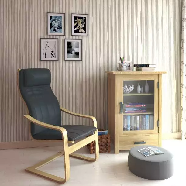 Cadeiras brandas para a sala de estar: características de cadeiras de cadeira, modelos de retroceso e retractos e outras opcións 9751_28